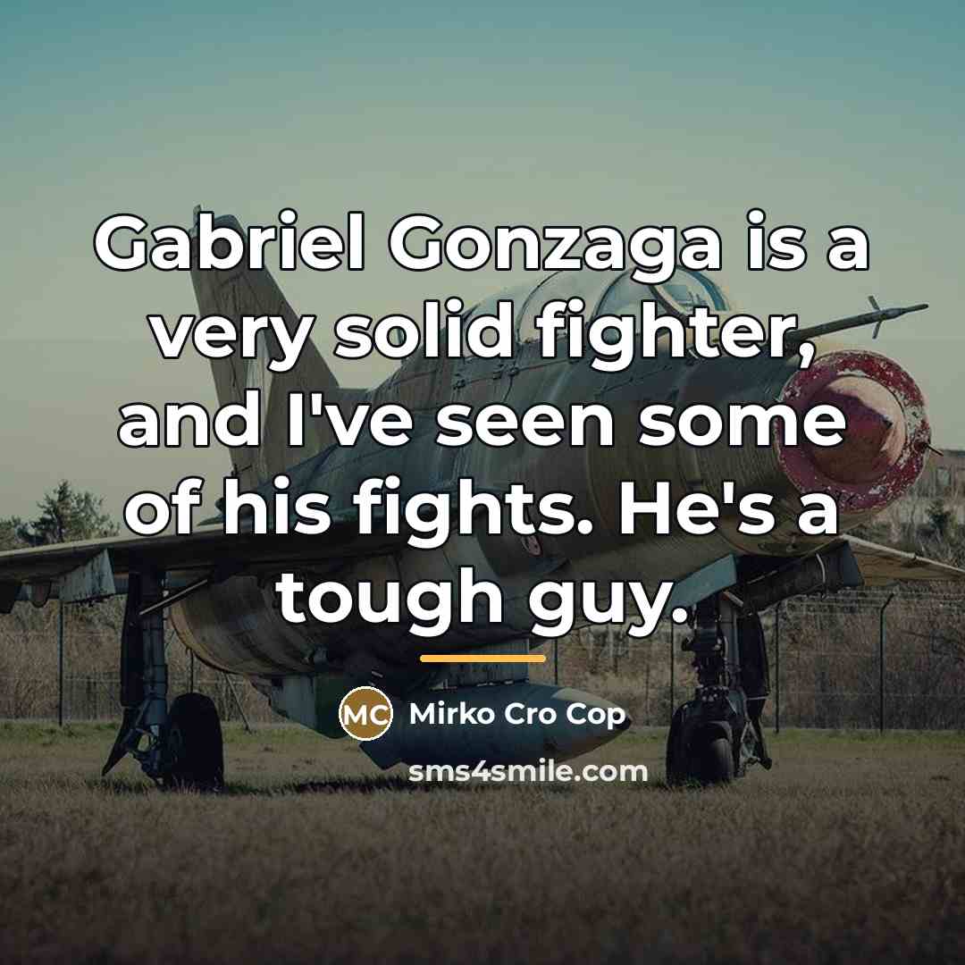 “Gabriel Gonzaga is a very solid fighter, and I've seen…” quote by Mirko Cro Cop