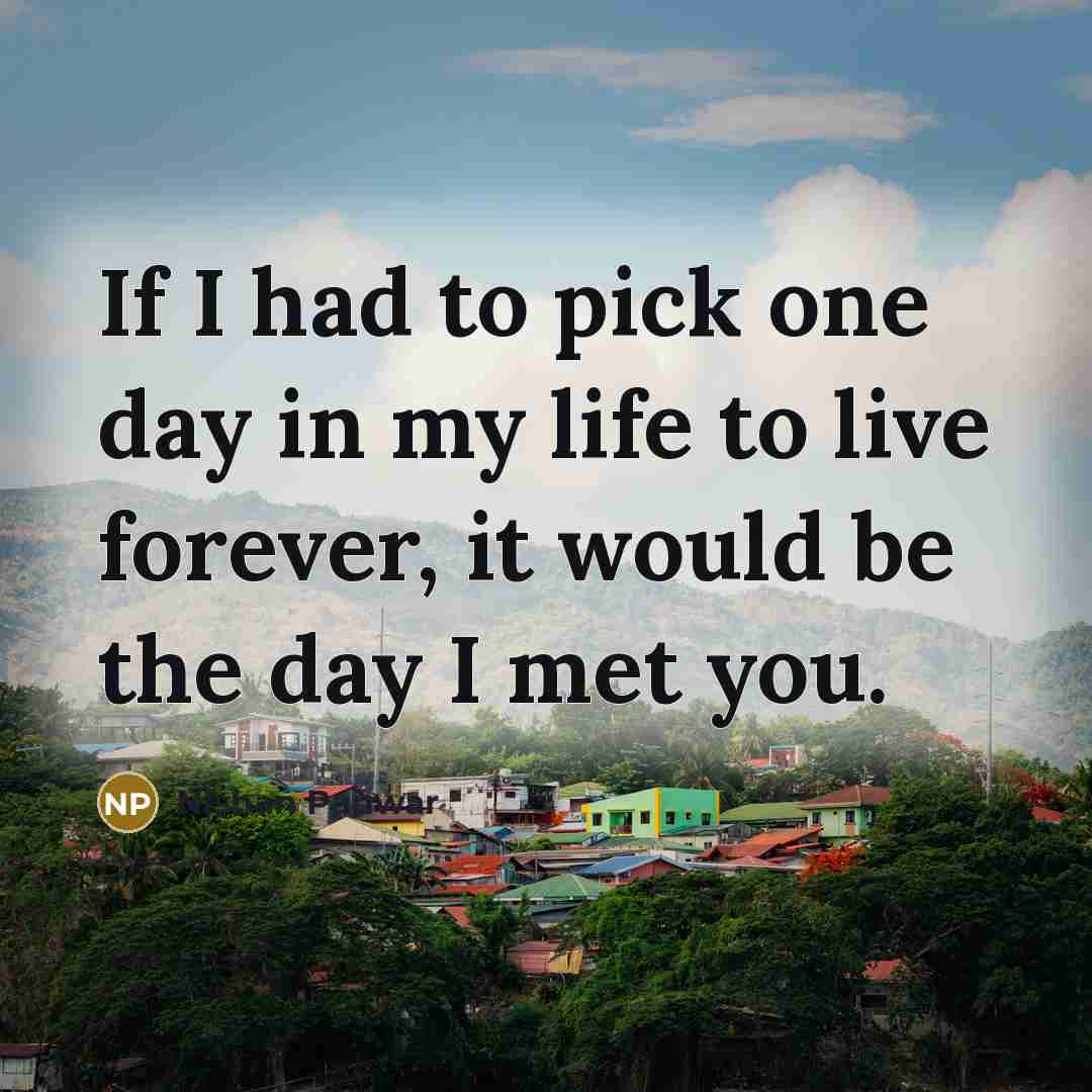 “If I had to pick one day in my life to live forever, it would be the day I met you.” quote by Nishan Panwar