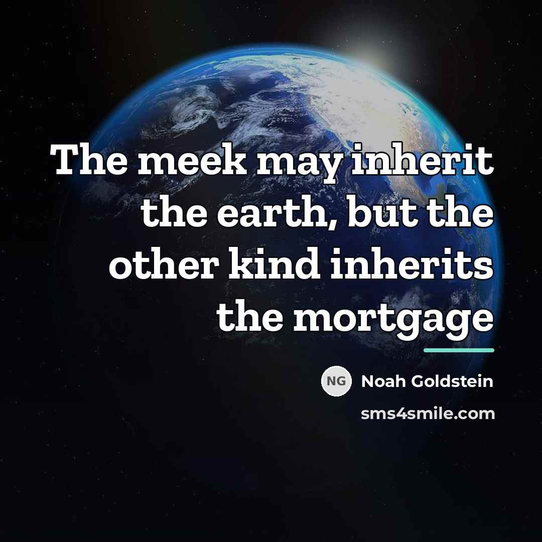 “The meek may inherit the earth, but the other kind…” quote by Noah Goldstein
