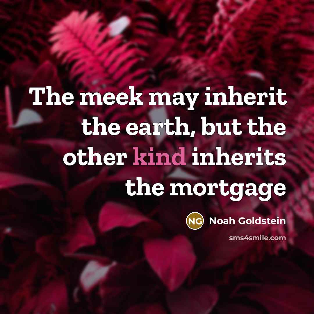 “The meek may inherit the earth, but the other kind inherits the mortgage” quote by Noah Goldstein