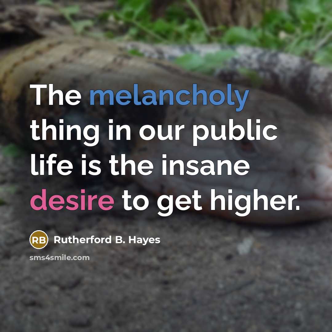 “The melancholy thing in our public life is the insane…” quote by Rutherford B. Hayes