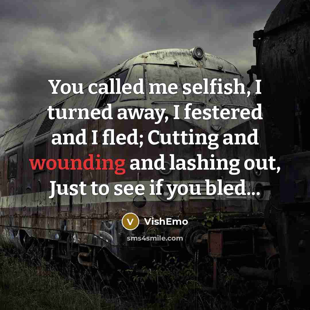 “You called me selfish, I turned away, I festered and…” quote by VishEmo