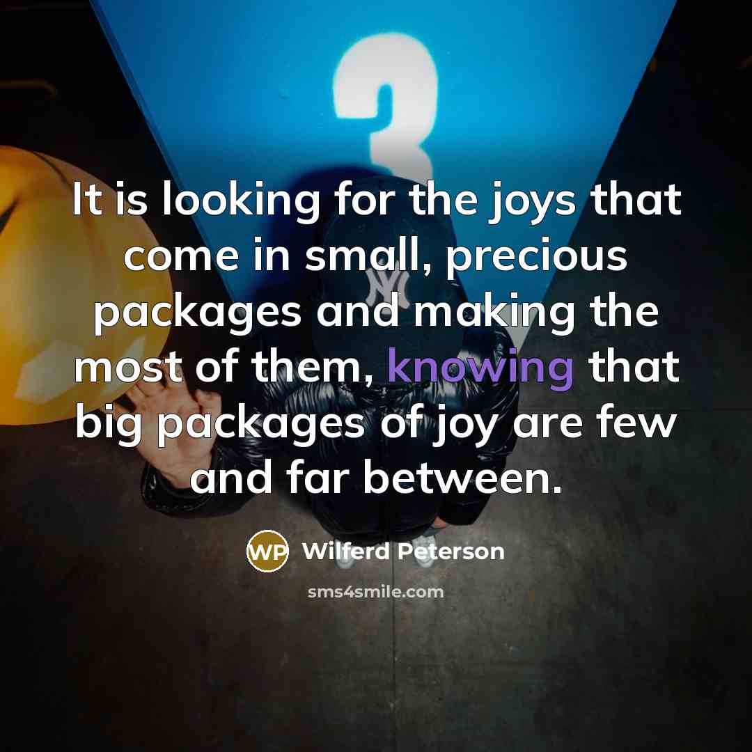 “It is looking for the joys that come in small,…” quote by Wilferd Peterson