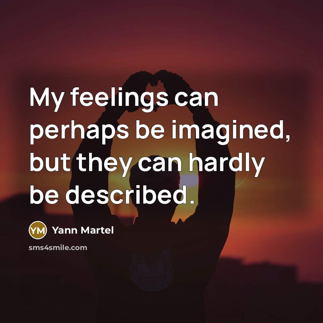 “My feelings can perhaps be imagined, but they can hardly…” quote by Yann Martel