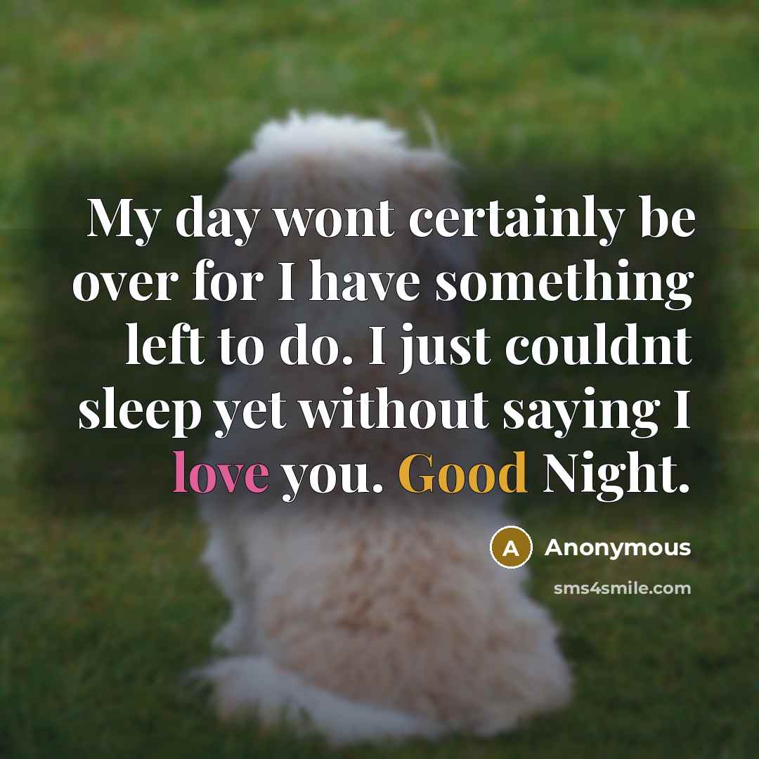 “My day wont certainly be over for I have something left to do. I just couldnt sleep yet without saying I love you. Good Night.” quote by Anonymous