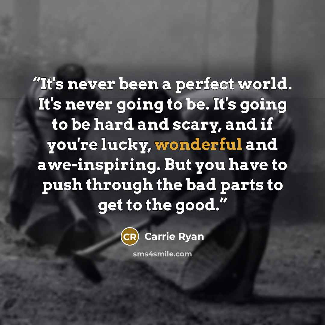 “It's never been a perfect world. It's never going to be. It's going to be hard and scary, and if you're lucky, wonderful and awe-inspiring. But you have to push through the bad parts to get to the good.” quote by Carrie Ryan