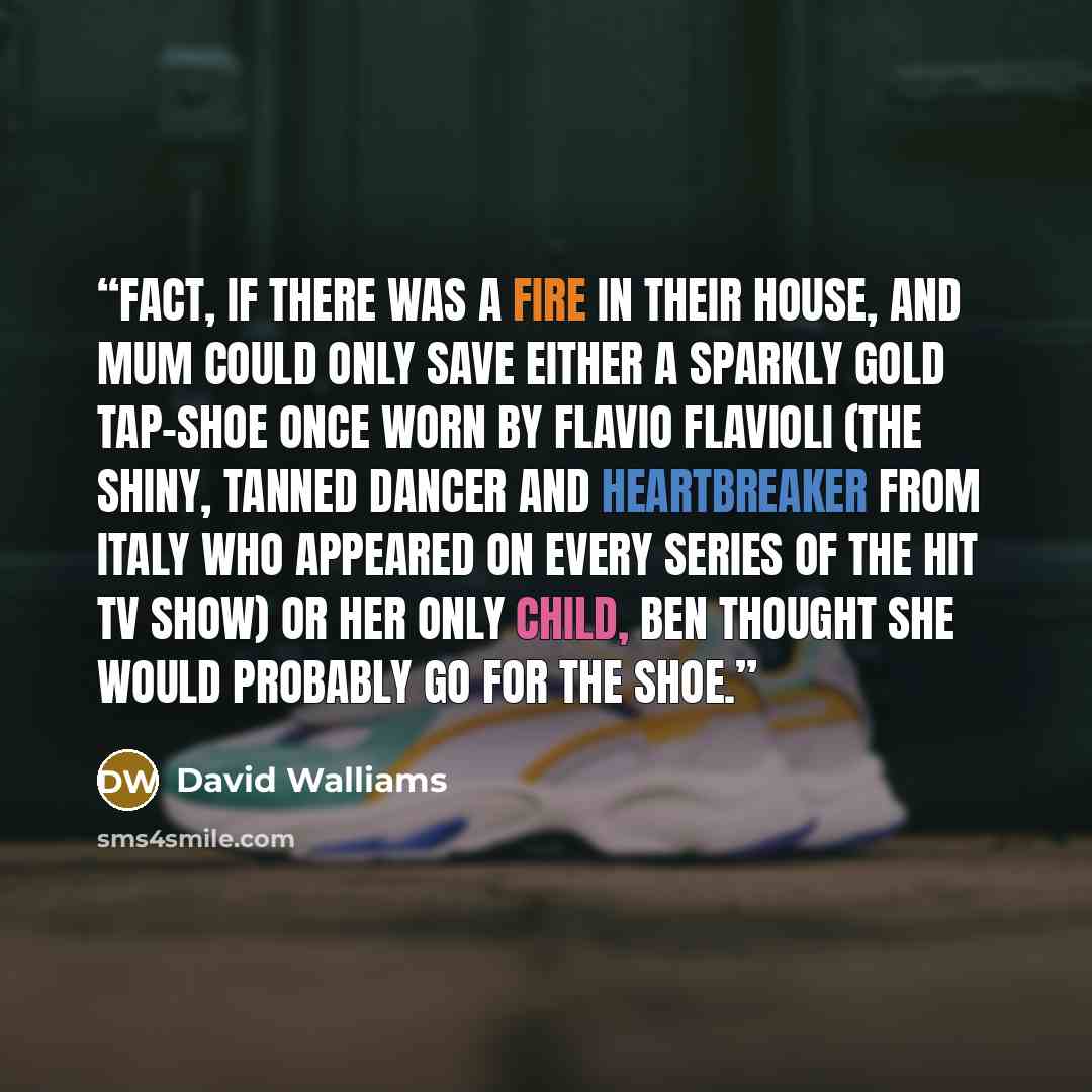 “fact, if there was a fire in their house, and Mum could only save either a sparkly gold tap-shoe once worn by Flavio Flavioli (the shiny, tanned dancer and heartbreaker from Italy who appeared on every series of the hit TV show) or her only child, Ben thought she would probably go for the shoe.” quote by David Walliams