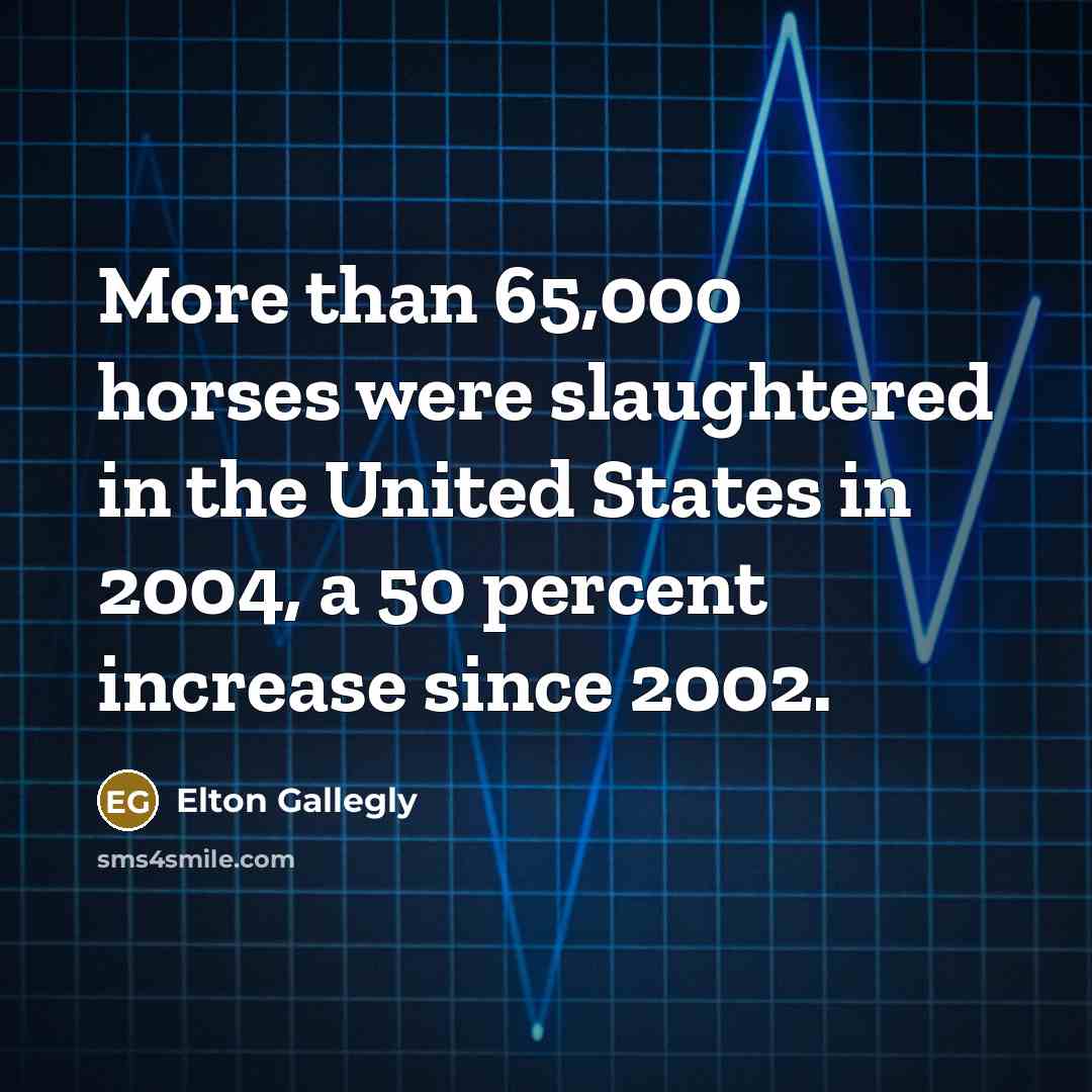 “More than 65,000 horses were slaughtered in the United States…” quote by Elton Gallegly
