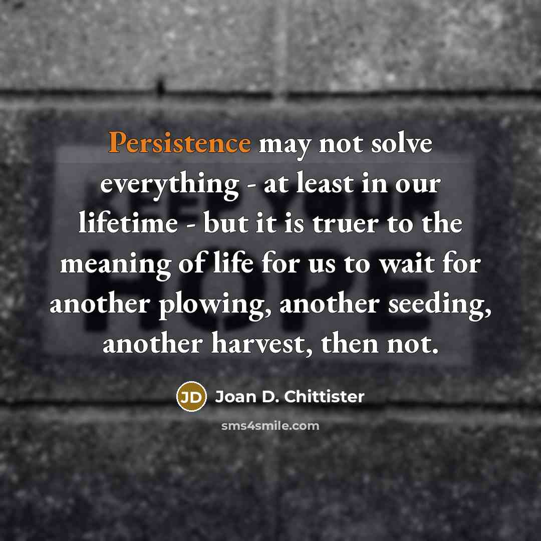 “Persistence may not solve everything - at least in our…” quote by Joan D. Chittister