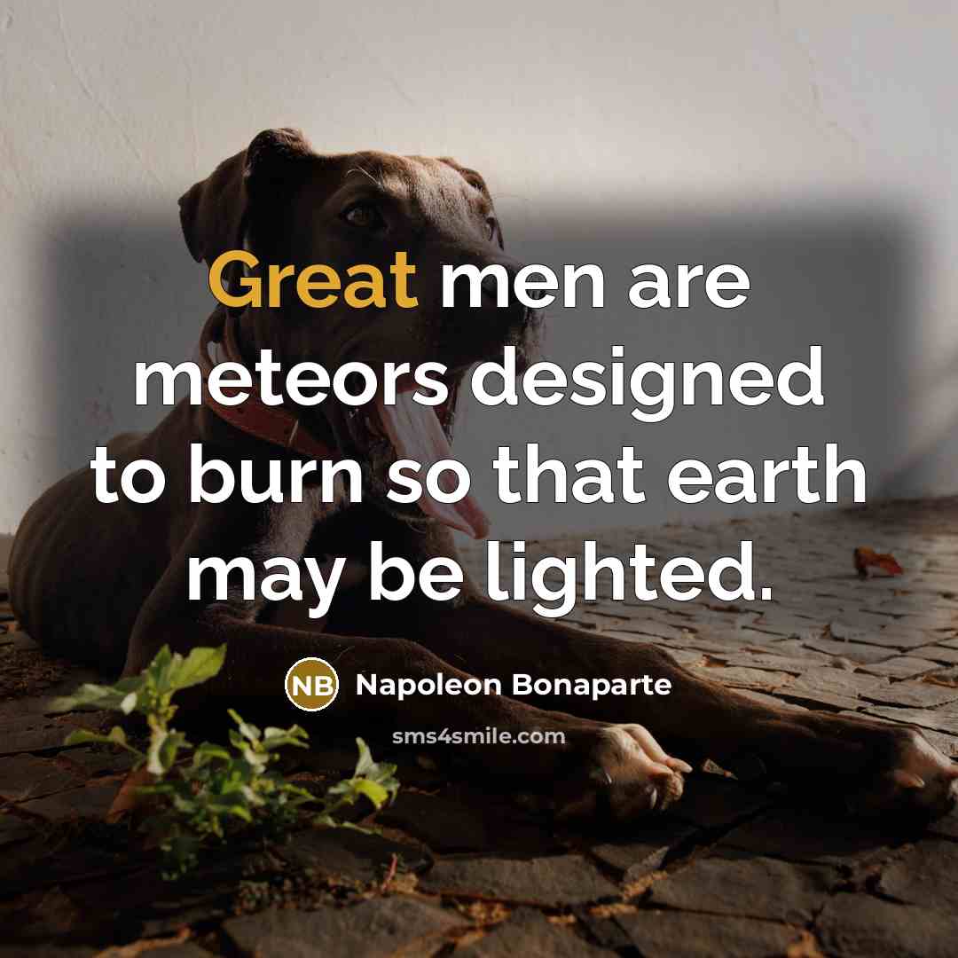 “Great men are meteors designed to burn so that earth…” quote by Napoleon Bonaparte