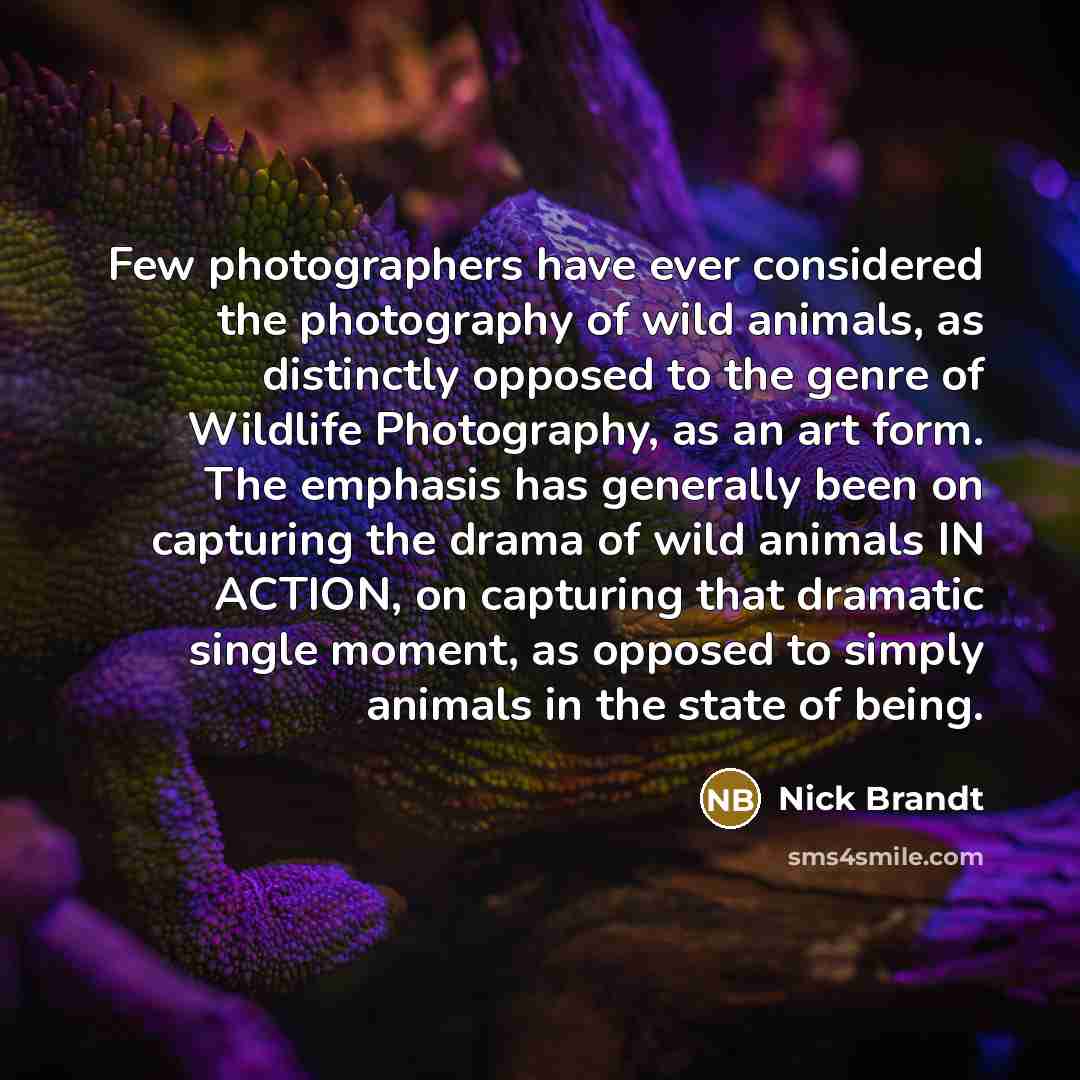 “Few photographers have ever considered the photography of wild animals,…” quote by Nick Brandt