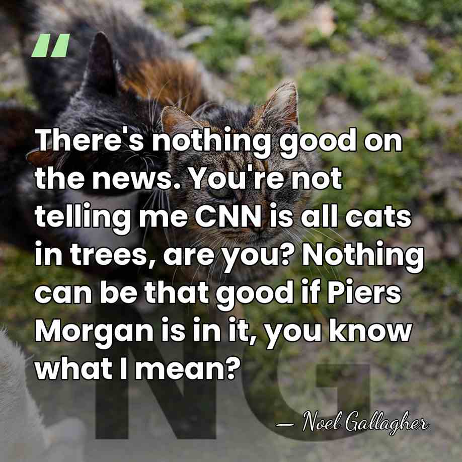 There's nothing good on the news. You're not telling me CNN is&hellip; - Noel Gallagher