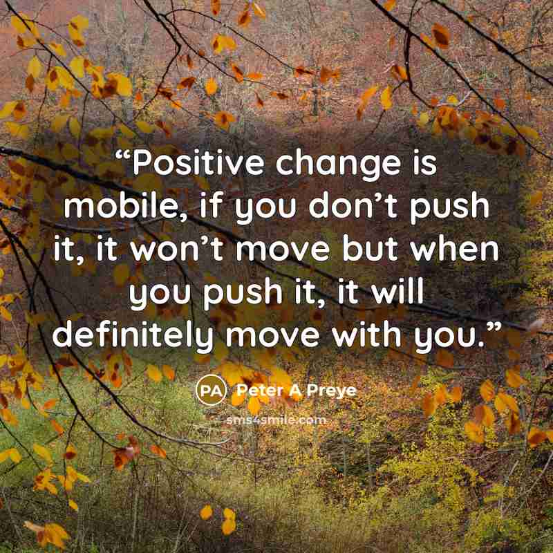 “Positive change is mobile, if you don’t push it, it won’t move but when you push it, it will definitely move with you.” quote by Peter A Preye