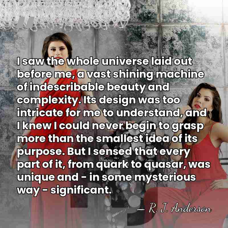 I saw the whole universe laid out before me, a vast shining&hellip; - R. J. Anderson