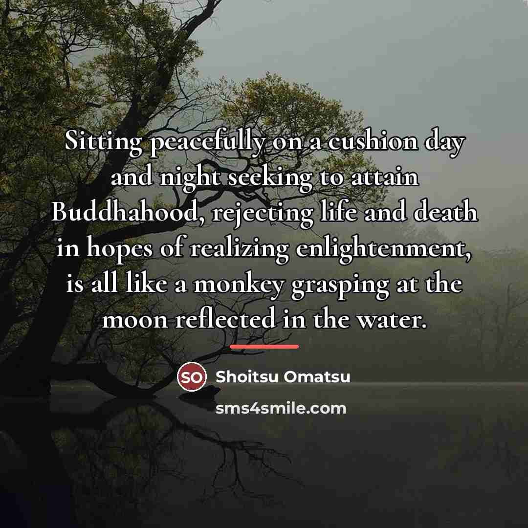 “Sitting peacefully on a cushion day and night seeking to…” quote by Shoitsu Omatsu