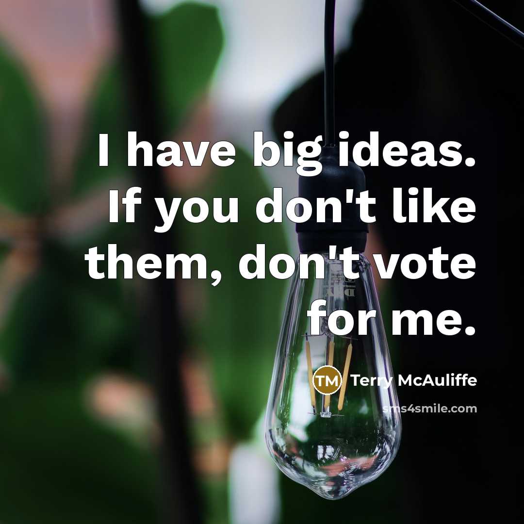 “I have big ideas. If you don't like them, don't…” quote by Terry McAuliffe