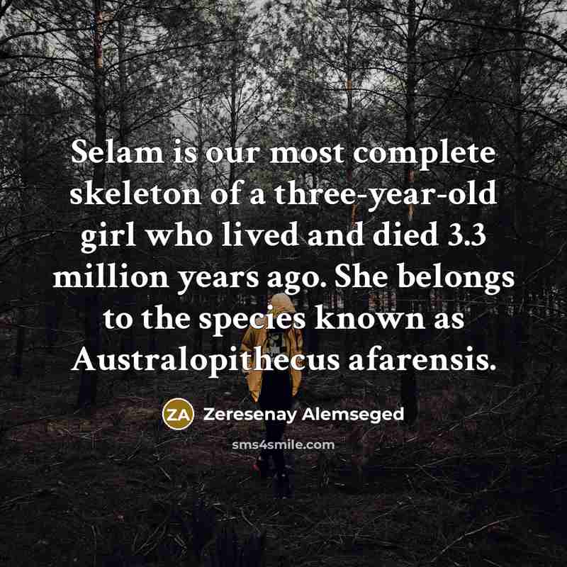 “Selam is our most complete skeleton of a three-year-old girl…” quote by Zeresenay Alemseged