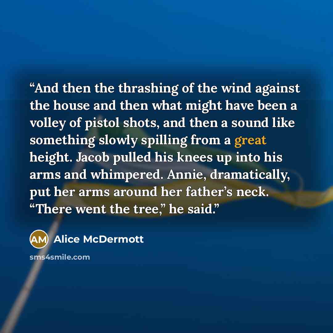 “And then the thrashing of the wind against the house and then what might have been a volley of pistol shots, and then a sound like something slowly spilling from a great height. Jacob pulled his knees up into his arms and whimpered. Annie, dramatically, put her arms around her father’s neck…” quote by Alice McDermott