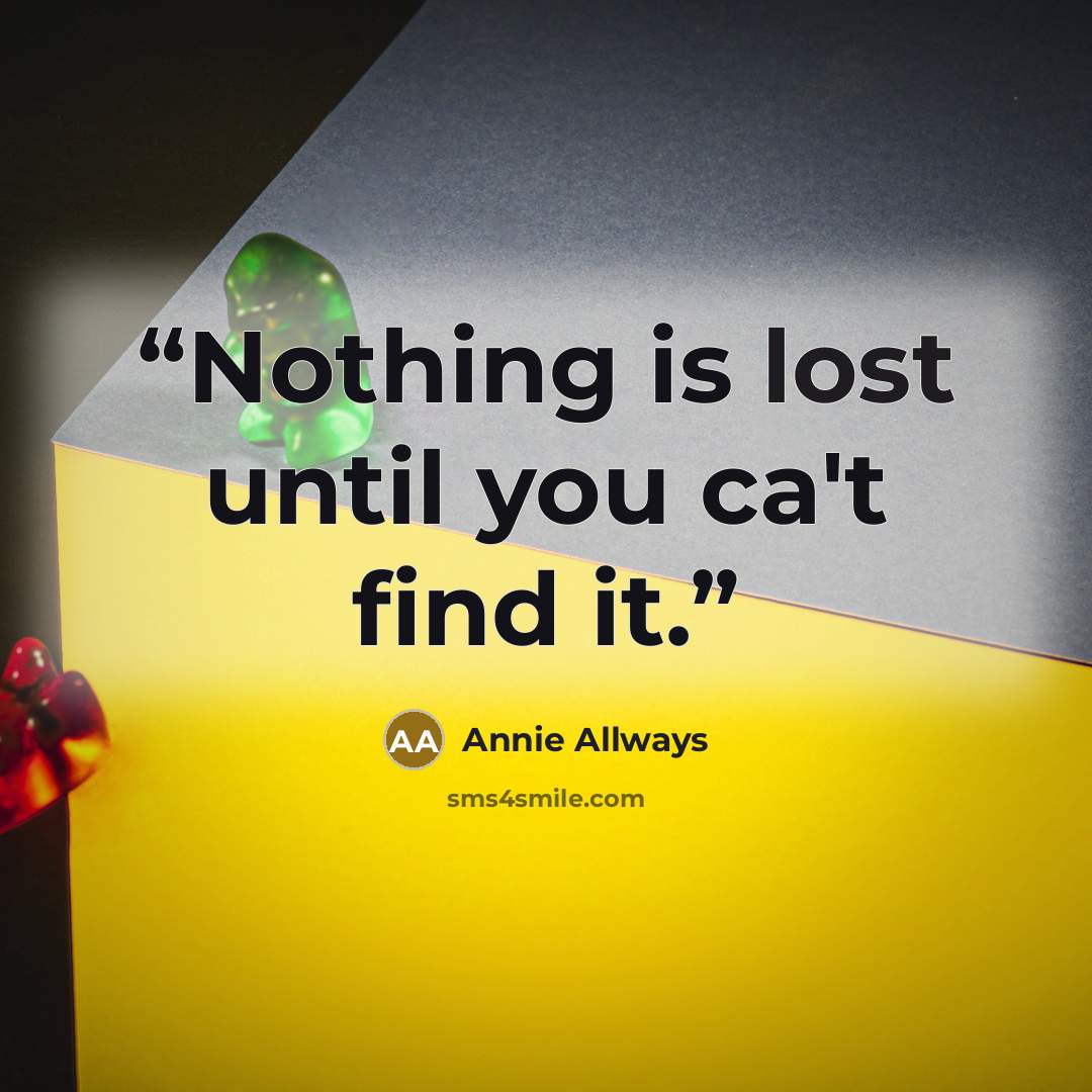 “Nothing is lost until you ca't find it.” quote by Annie Allways