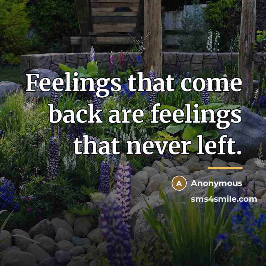 “Feelings that come back are feelings that never left.…” quote by Anonymous