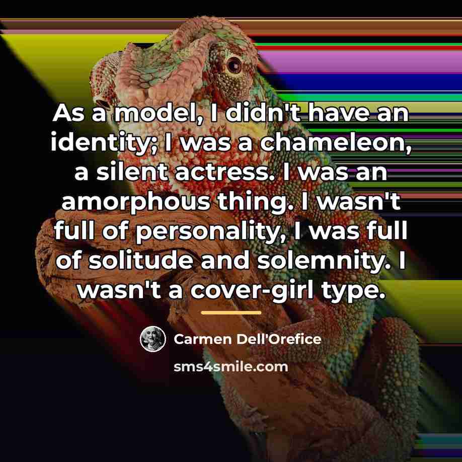“As a model, I didn't have an identity; I was…” quote by Carmen Dell'Orefice