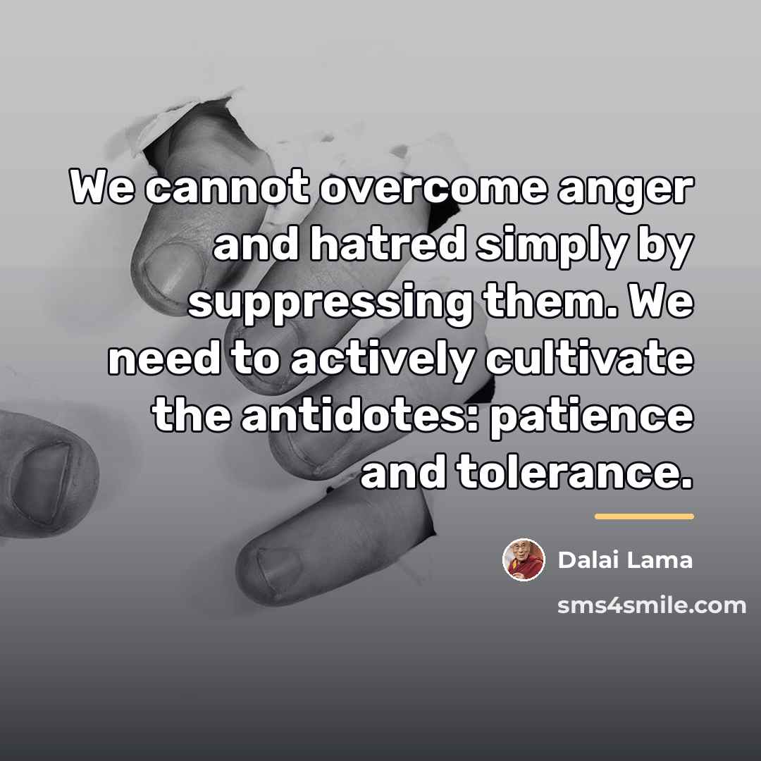 “We cannot overcome anger and hatred simply by suppressing them.…” quote by Dalai Lama