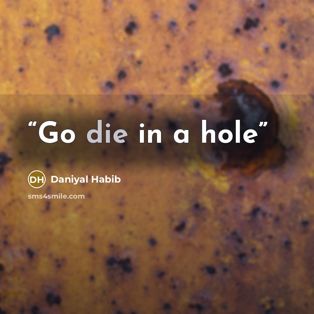 “Go die in a hole” quote by Daniyal Habib