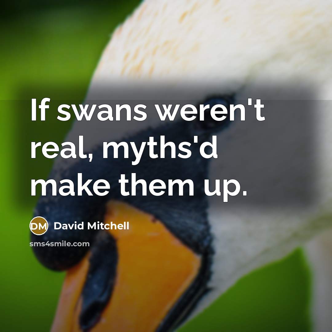 “If swans weren't real, myths'd make them up.…” quote by David Mitchell