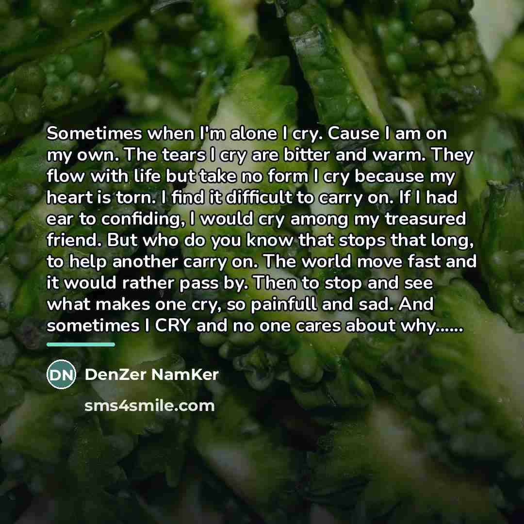 “Sometimes when I'm alone I cry. Cause I am on…” quote by DenZer NamKer