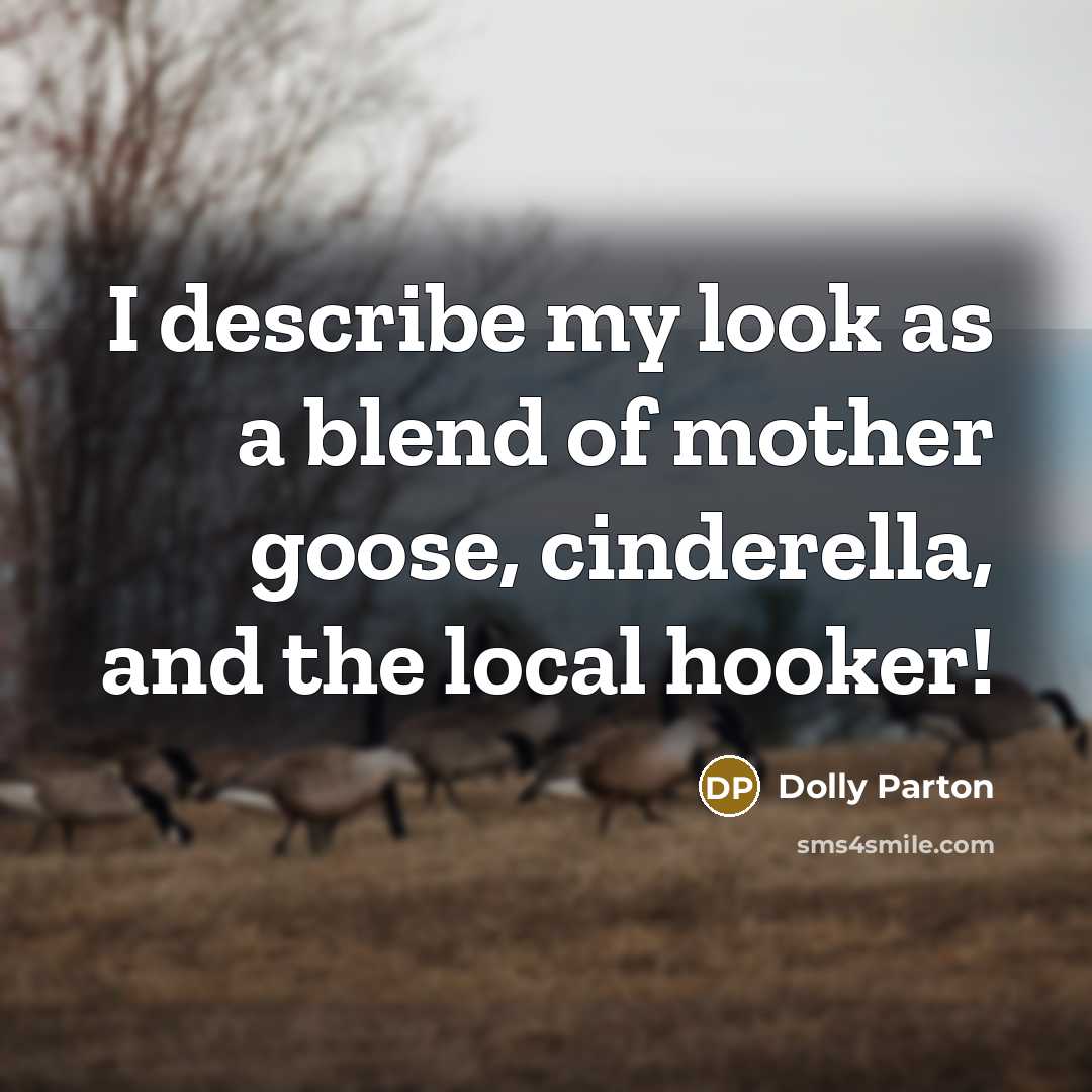 “I describe my look as a blend of mother goose, cinderella, and the local hooker!” quote by Dolly Parton