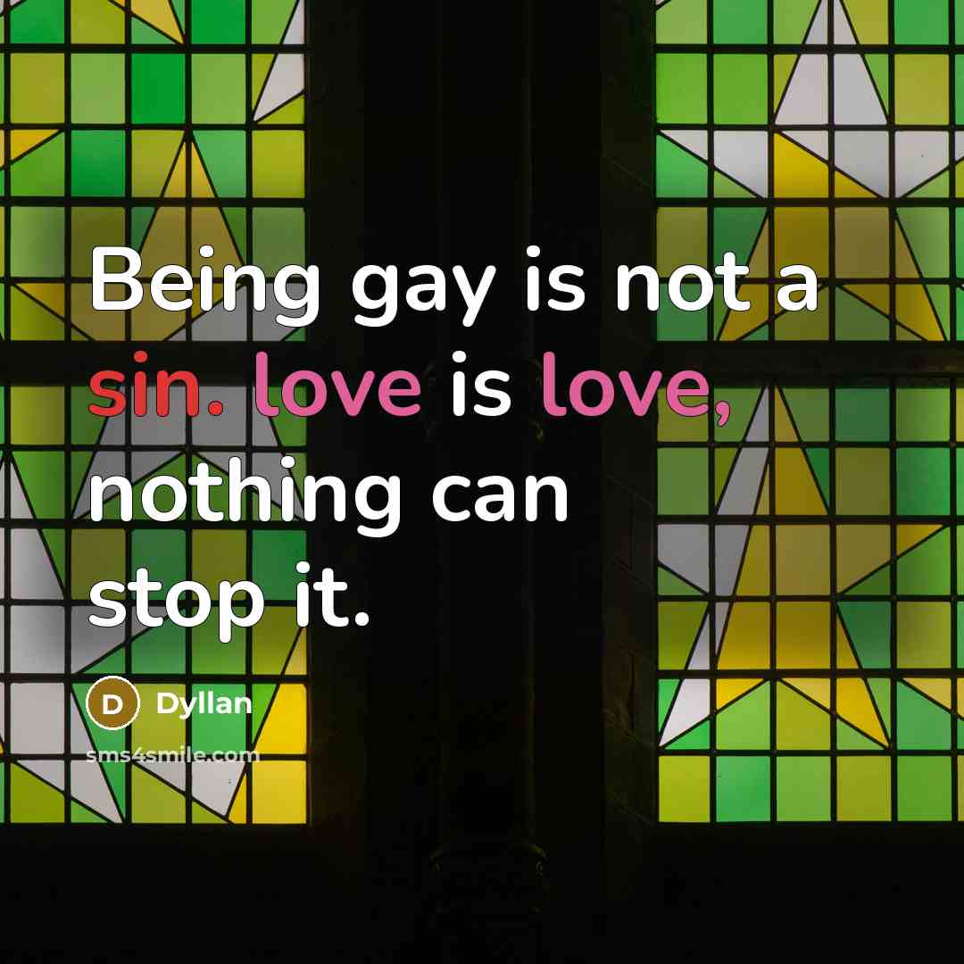 “Being gay is not a sin. love is love, nothing can stop it.” quote by Dyllan