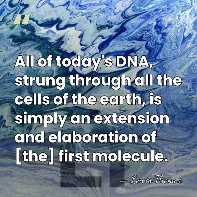 All of today's DNA, strung through all the cells of the earth,&hellip; - Lewis Thomas