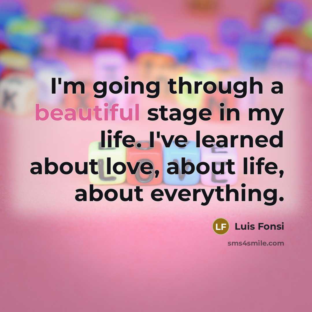 “I'm going through a beautiful stage in my life. I've…” quote by Luis Fonsi