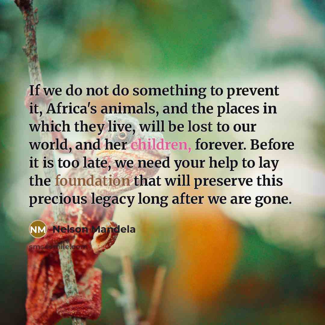 “If we do not do something to prevent it, Africa's animals, and the places in which they live, will be lost to our world, and her children, forever. Before it is too late, we need your help to lay the foundation that will preserve this precious legacy long after we are gone.” quote by Nelson Mandela