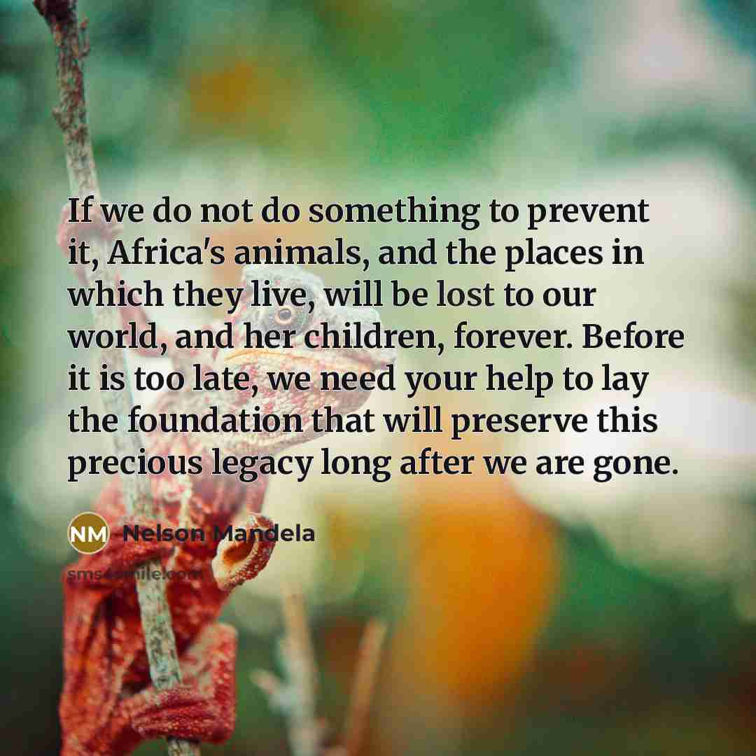 “If we do not do something to prevent it, Africa's…” quote by Nelson Mandela