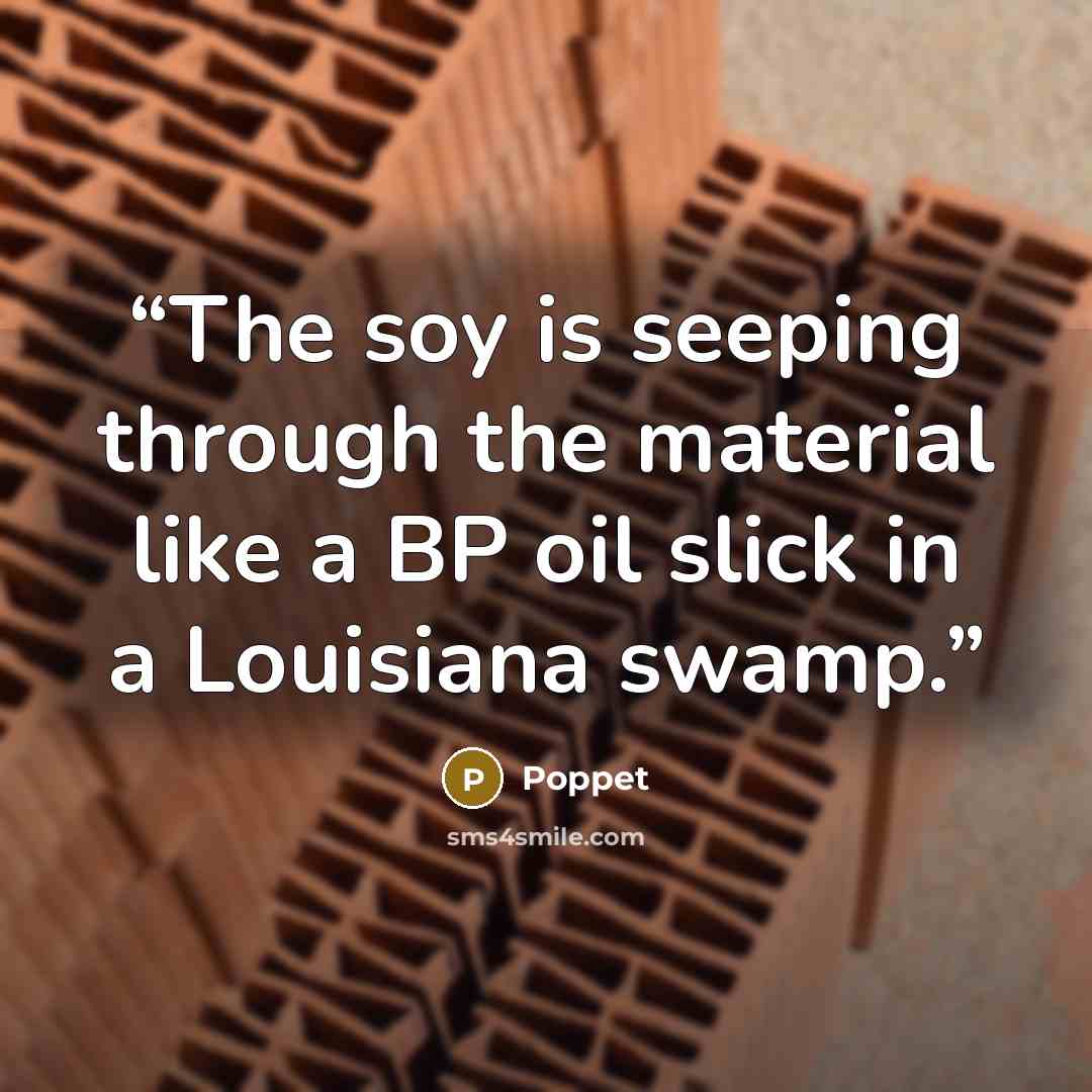 “The soy is seeping through the material like a BP oil slick in a Louisiana swamp.” quote by Poppet