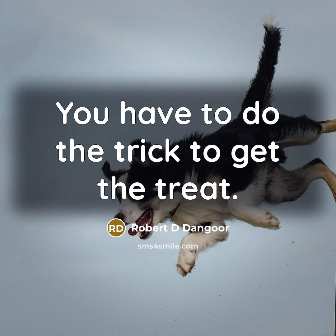 “You have to do the trick to get the treat.” quote by Robert D Dangoor