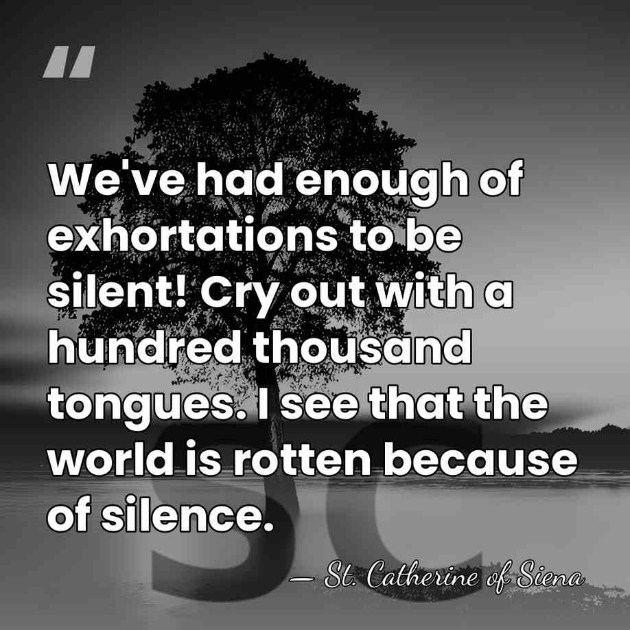We've had enough of exhortations to be silent! Cry out with a&hellip; - St. Catherine of Siena