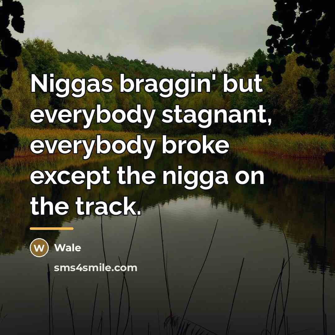 “Niggas braggin' but everybody stagnant, everybody broke except the nigga…” quote by Wale