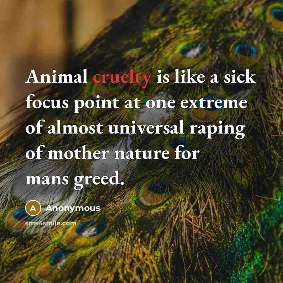 “Animal cruelty is like a sick focus point at one…” quote by Anonymous