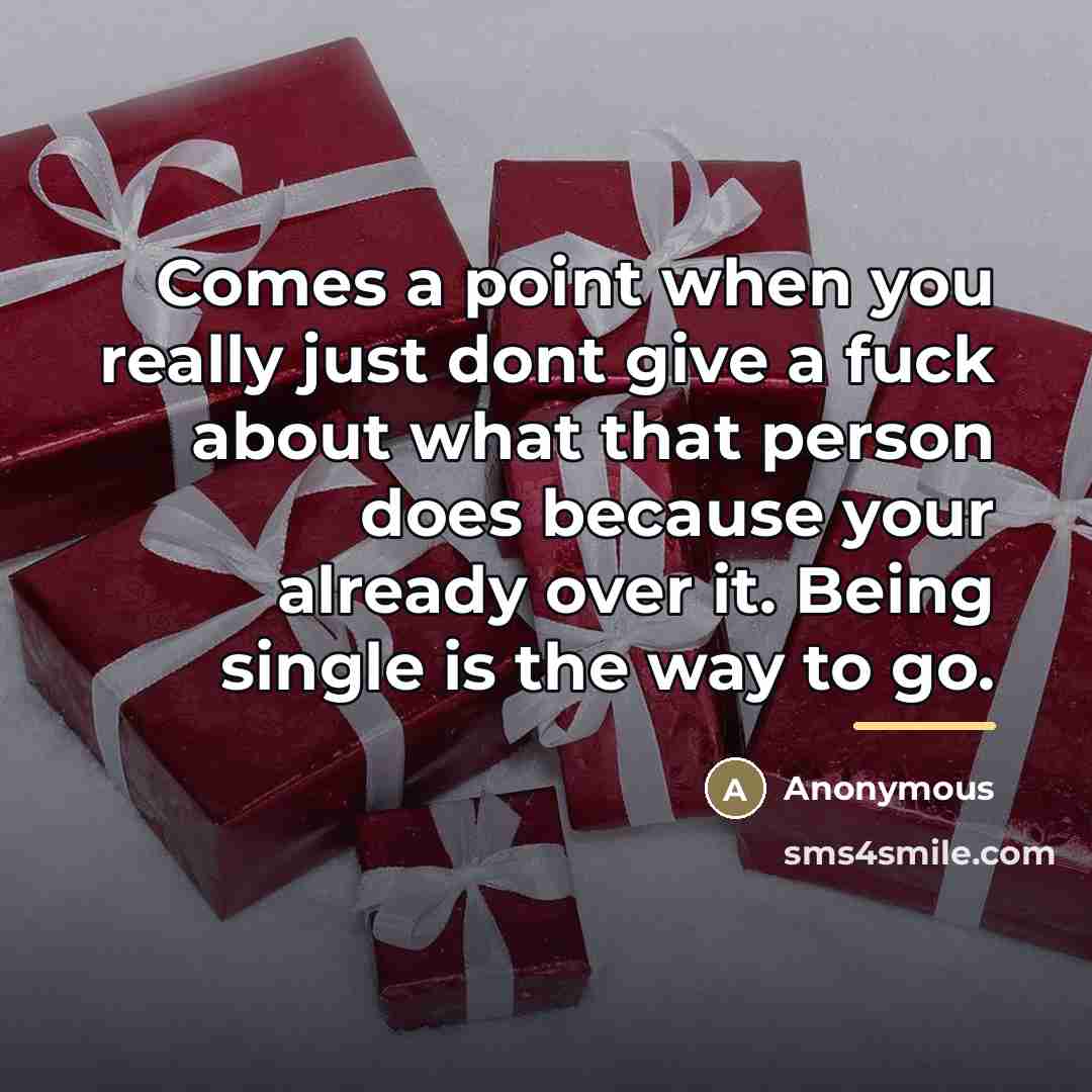 “Comes a point when you really just dont give a…” quote by Anonymous