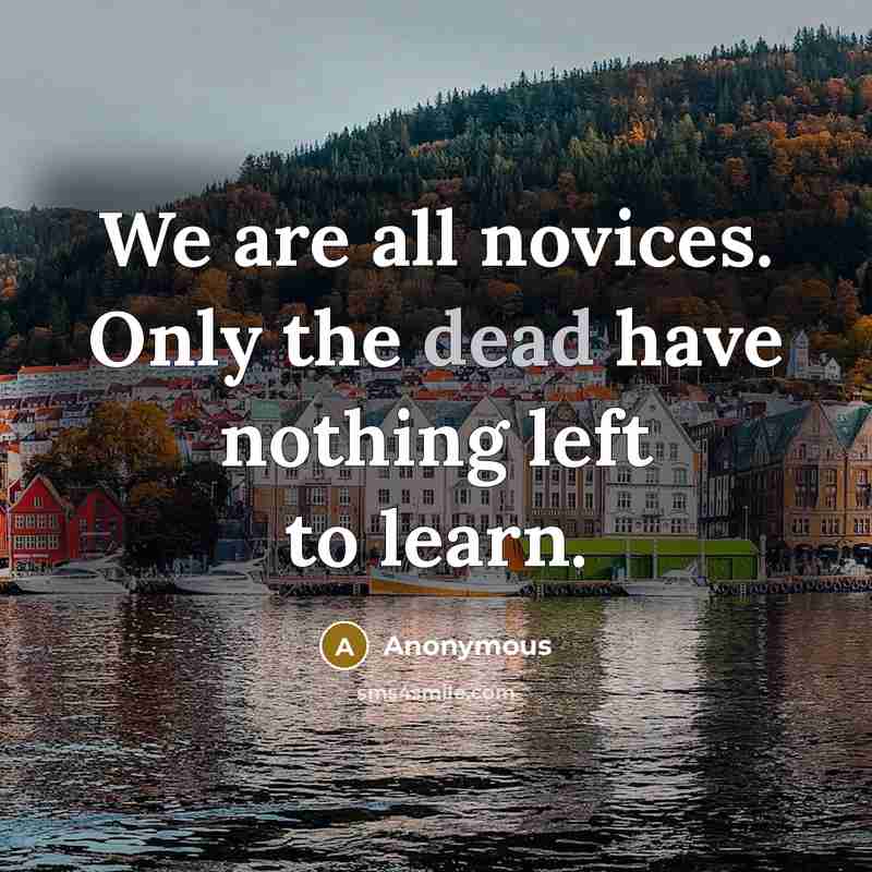“We are all novices. Only the dead have nothing left to learn.” quote by Anonymous