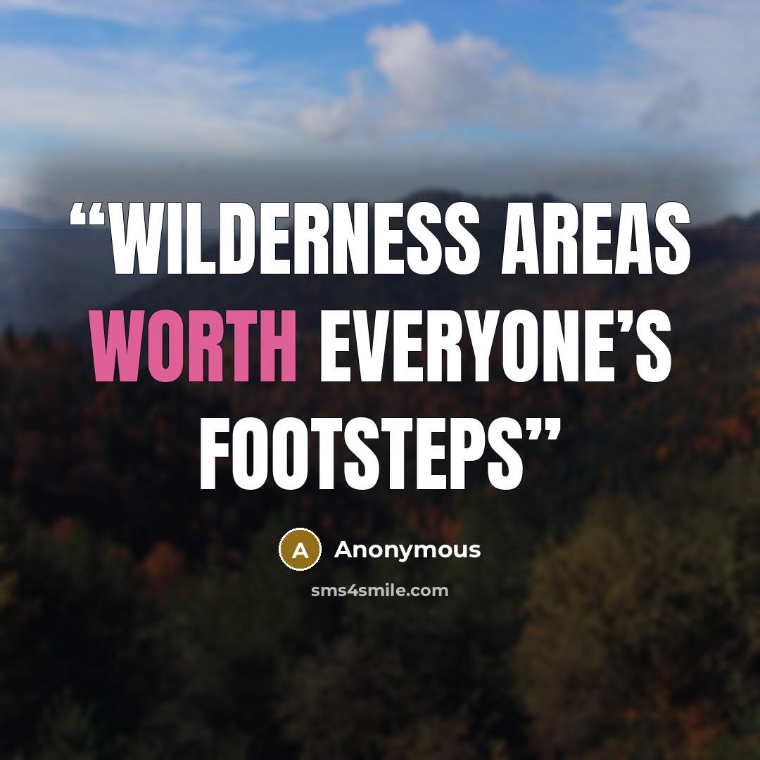 “Wilderness areas worth everyone’s footsteps” quote by Anonymous