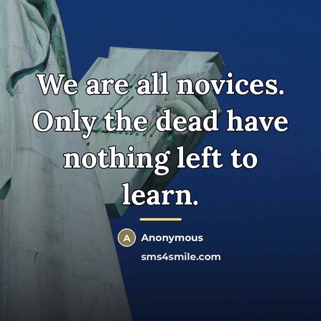 “We are all novices. Only the dead have nothing left…” quote by Anonymous