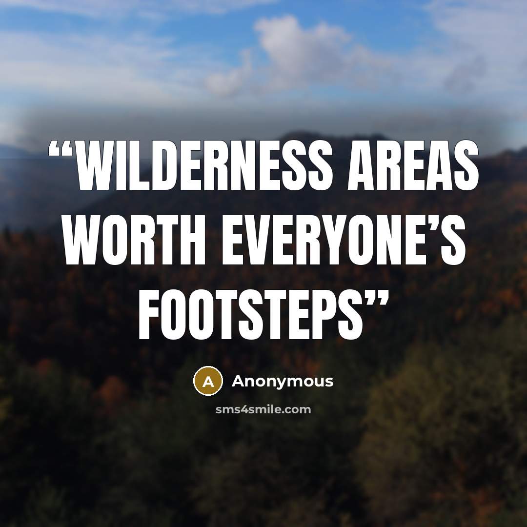 “Wilderness areas worth everyone’s footsteps” quote by Anonymous