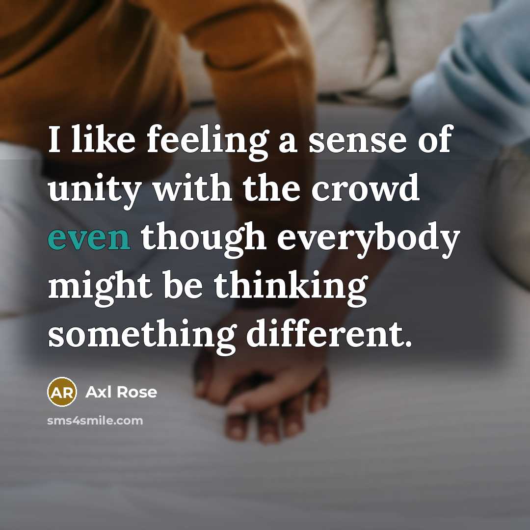 “I like feeling a sense of unity with the crowd…” quote by Axl Rose
