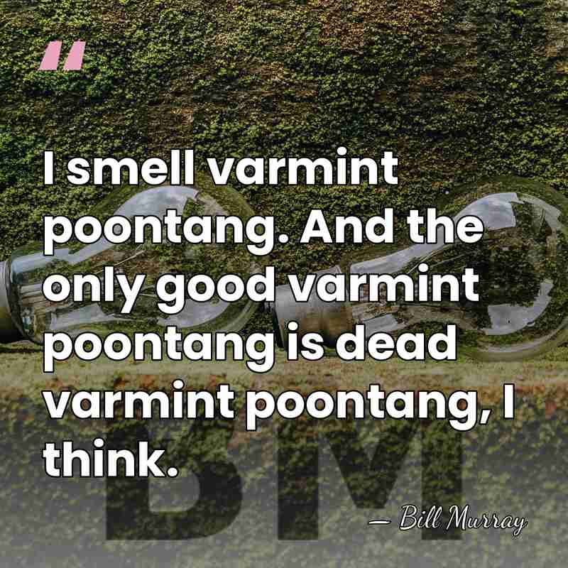 I smell varmint poontang. And the only good varmint poontang is dead&hellip; - Bill Murray