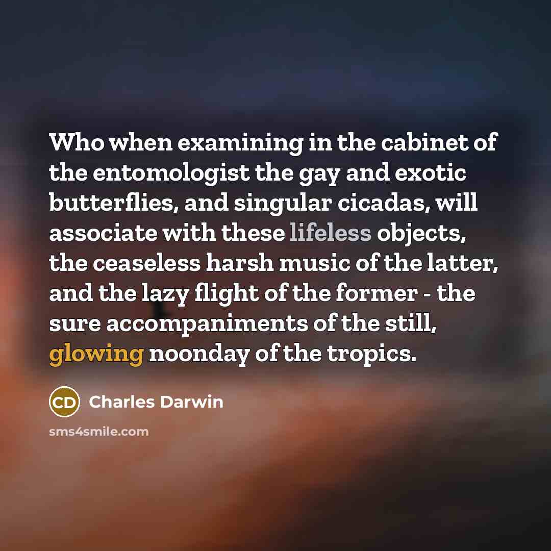 “Who when examining in the cabinet of the entomologist the…” quote by Charles Darwin