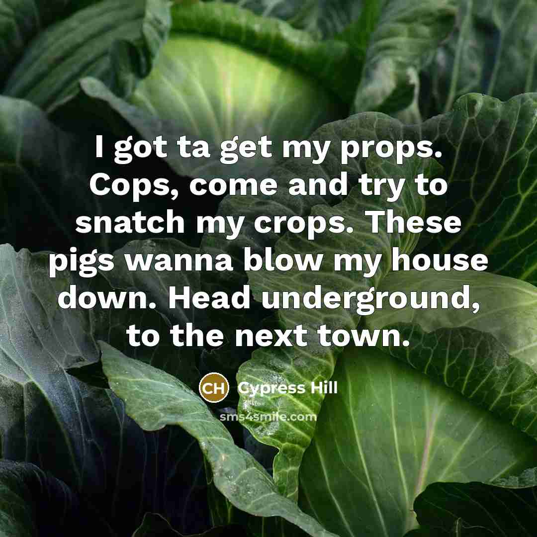 “I got ta get my props. Cops, come and try to snatch my crops. These pigs wanna blow my house down. Head underground, to the next town.” quote by Cypress Hill