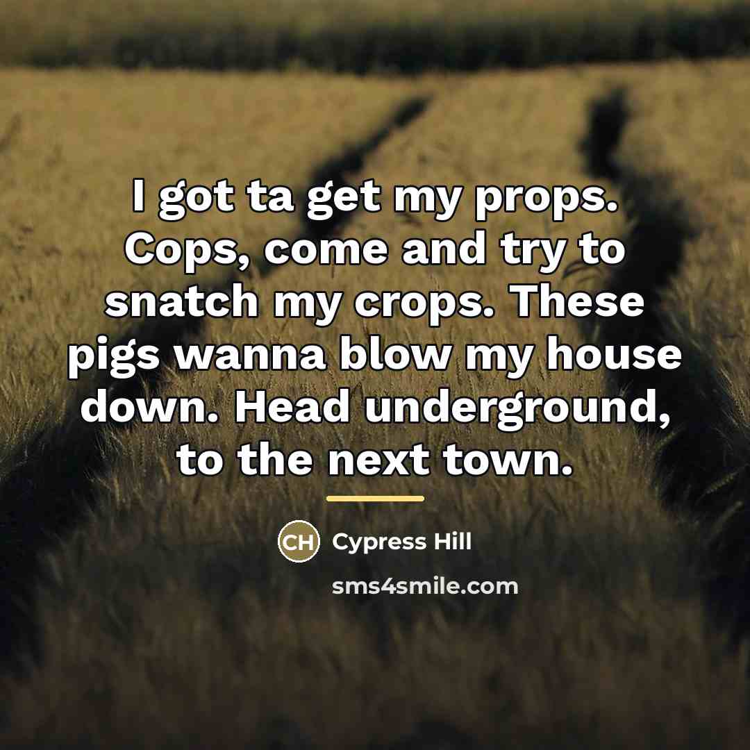 “I got ta get my props. Cops, come and try…” quote by Cypress Hill